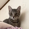 ふうが❤️グレーのイケメン
