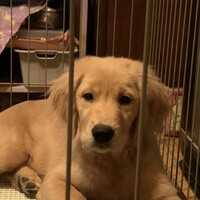 千田　もも汰