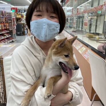 ねえねといっしょ