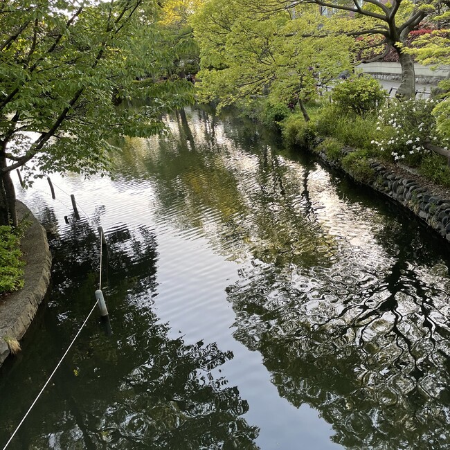 gohan_islandのカバー写真