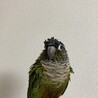 水浴び後♡洗面台の蛇口から直浴び‪w