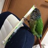 なんでもオモチャに(笑)この後、割りばしのビニール破いて、中身出してましたw