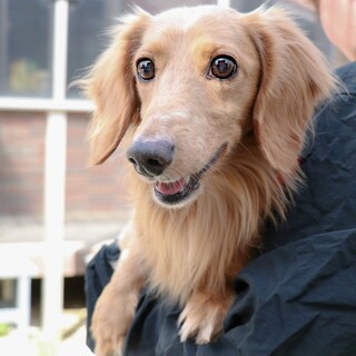 甘えんぼう♡ひのきくん♡