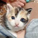 現在、交渉中にて一時ストップさせていただきます