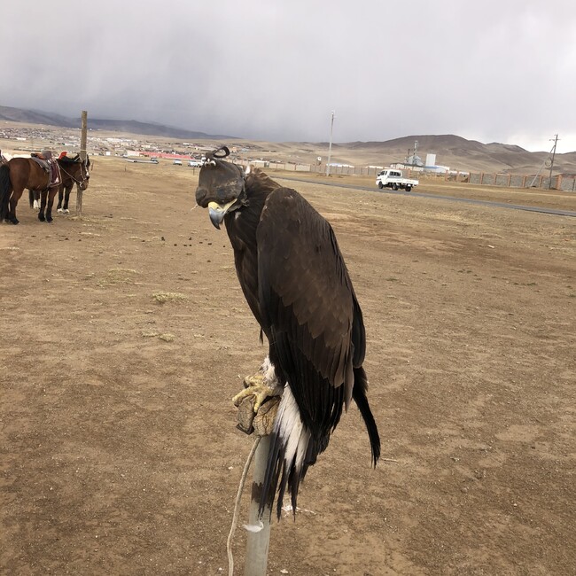 じゅんwtpkのカバー写真