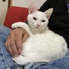 生後半年過ぎて大きくなってきました