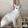 生後9ヶ月過ぎました。