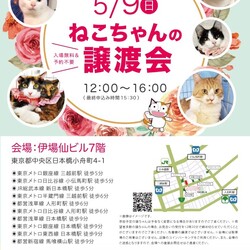 ねこざんまい譲渡会@日本橋小舟町