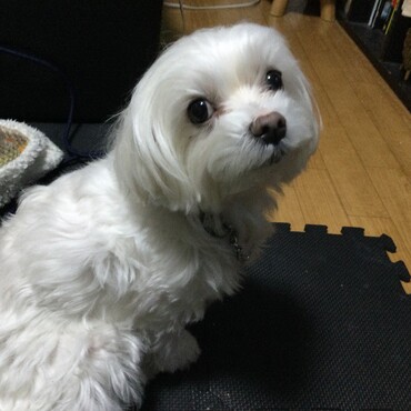 の写真