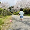 てぃさん