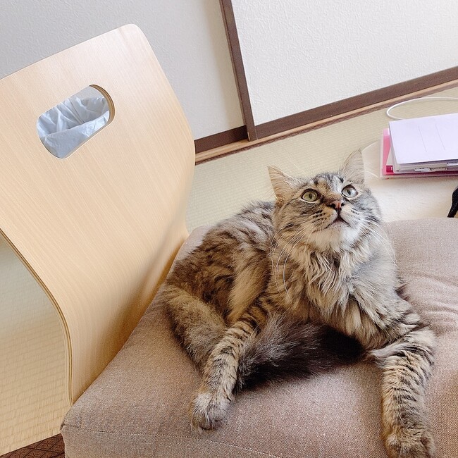 おこめあのカバー写真