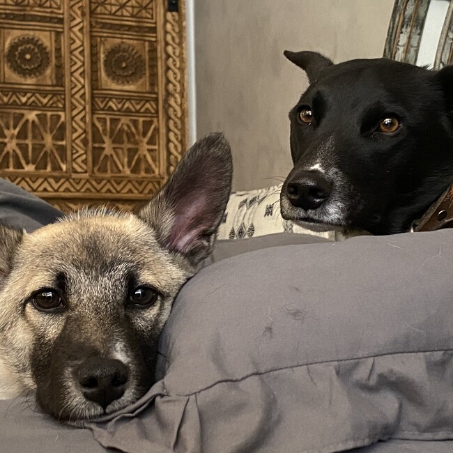 AiriKのカバー写真