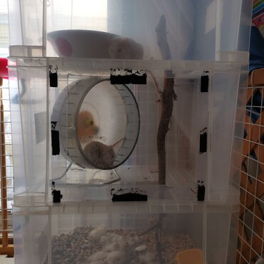 良羅ちゃんと月ちゃん