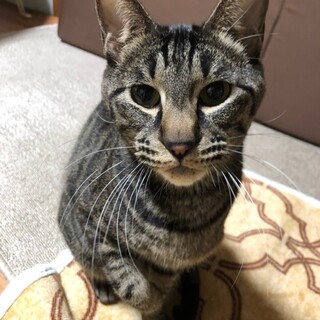 おもちゃが大好き☆じゆうくん