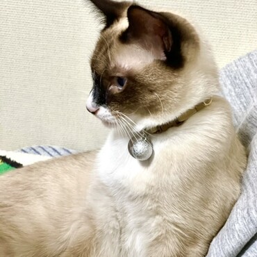 の写真