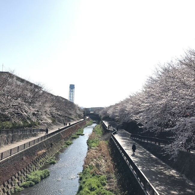 fullmoon_keiのカバー写真