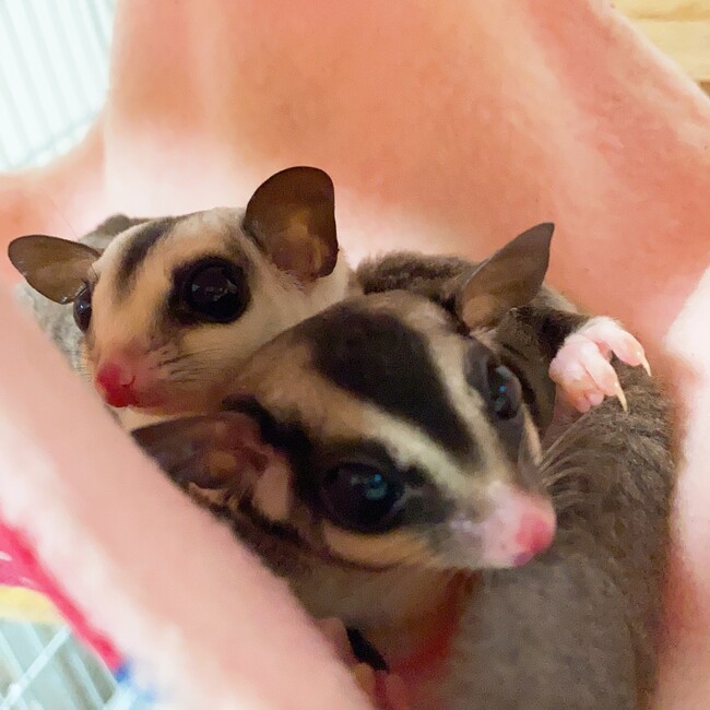 くあろのカバー写真