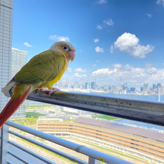 kenkenken0418のカバー写真