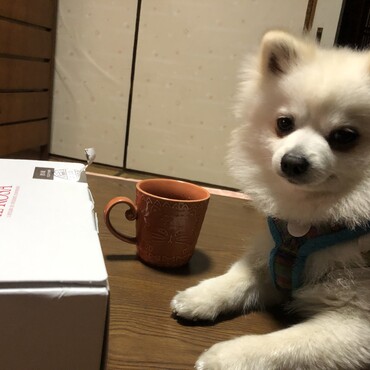 の写真