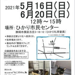 ねこのWa猫譲渡会 静岡市葵区