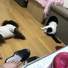 ちゃんまぁむ