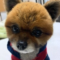そら