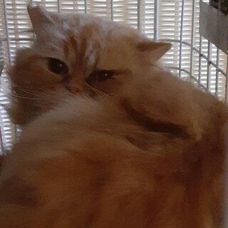 心を閉ざしていますが…