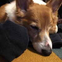 パルプンテ