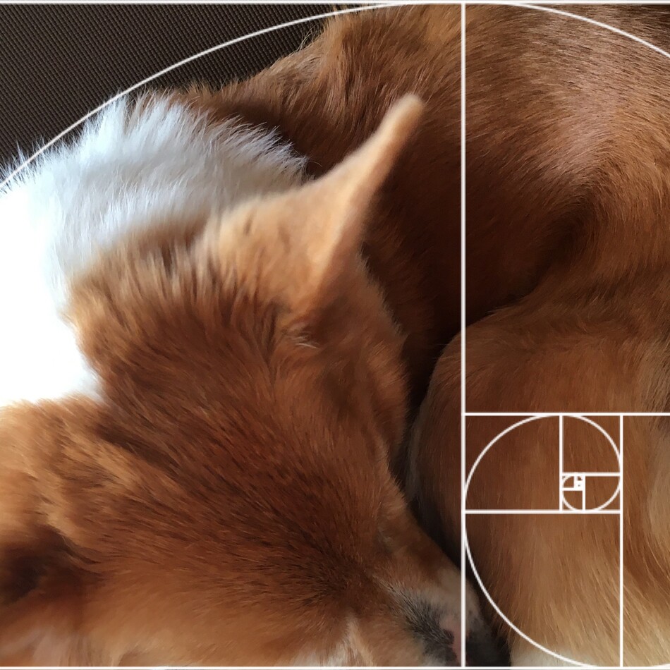 パルプンテのカバー写真