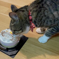 昨日は一歳の誕生日でした！