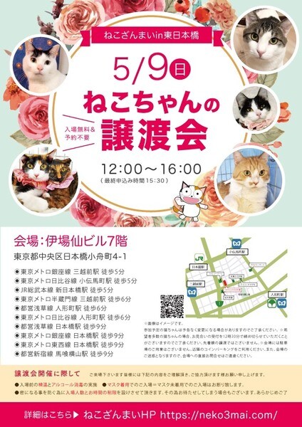 5 9日本橋 慎重な甘 東京都 猫の里親募集 ペットのおうち 月間利用者150万人