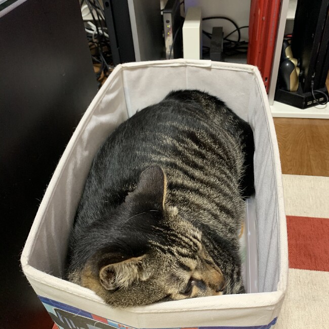 よしニャン2729のカバー写真