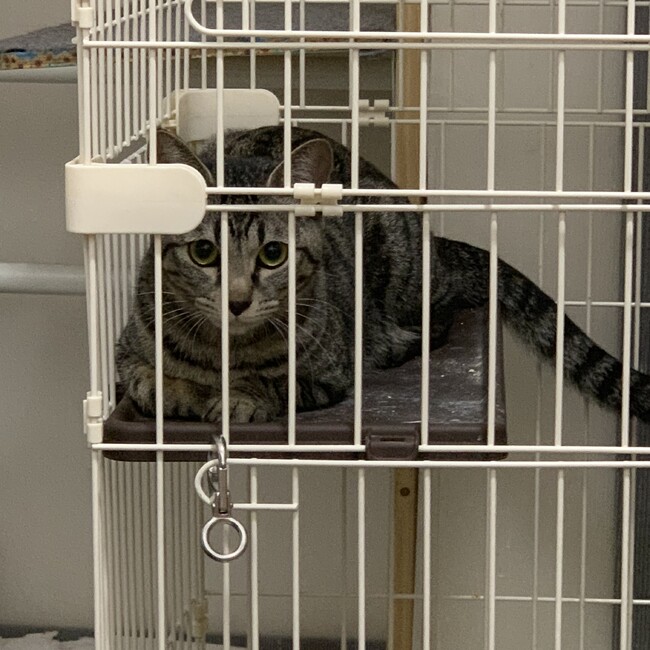 まったりさんのカバー写真