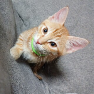 素敵なご縁に恵まれました❗