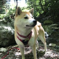 まりも