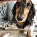 至急お願いします！