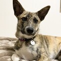 チュチュ、お見合い可能です❗️
