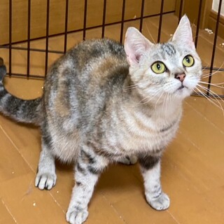 少しビビりですが、スリスリちゃんです。