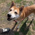 美人でしょ？