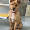 どろんこハリー。