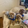仲良し5プー