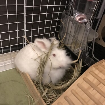 の写真