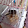 くまﾁｬﾝ