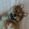 いたずらしてバレたお顔w