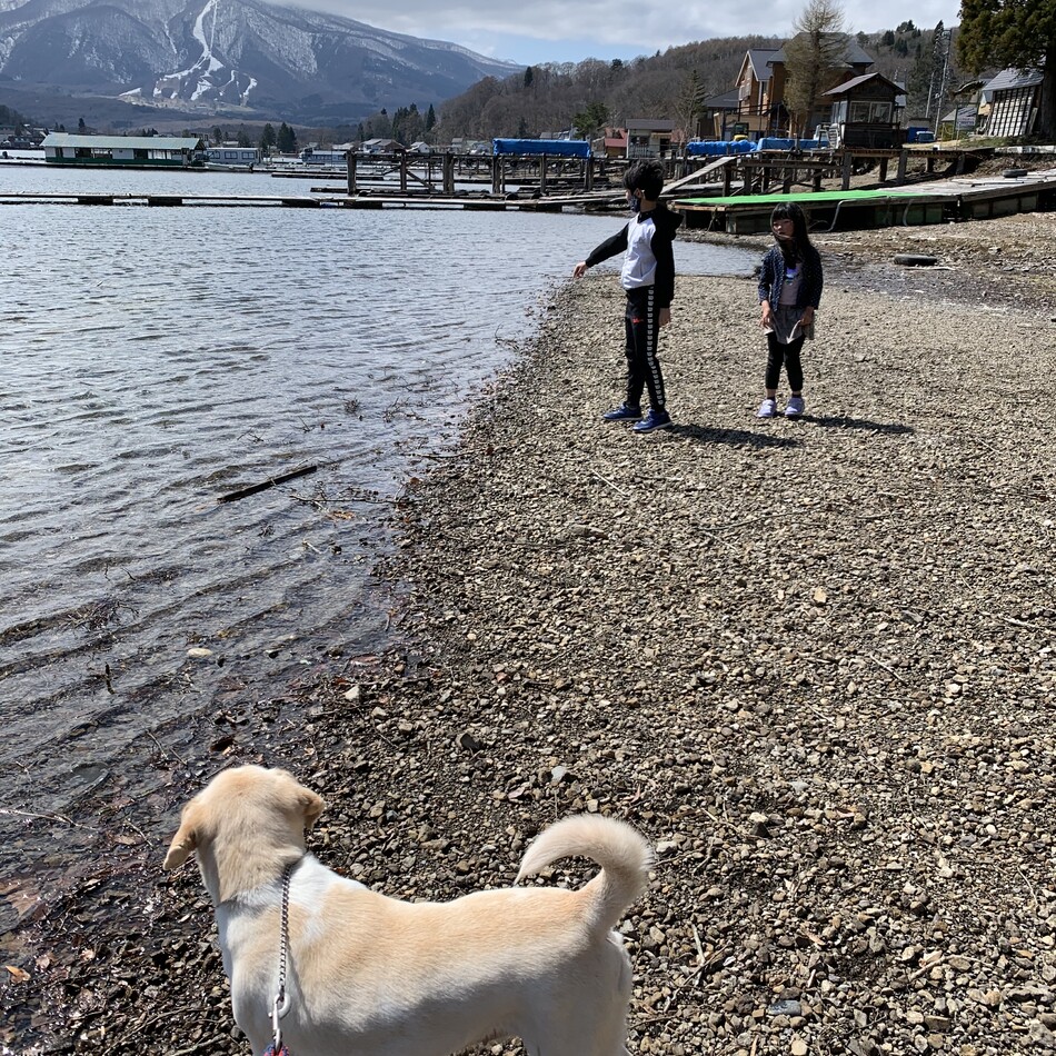 ハナのカバー写真