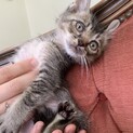 里親さま決まりました☆