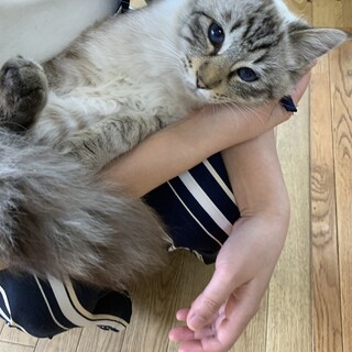 里親さま決まりました☆