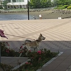 「初OKストア」サムネイル2