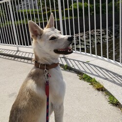 「初OKストア」サムネイル3