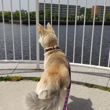 はじめて海を見たよ